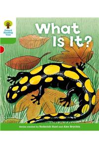 Oxford Reading Tree: Level 2: More Patterned Stories A: What Is It?