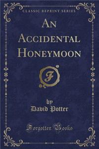 An Accidental Honeymoon (Classic Reprint)