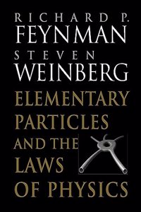 Elementary Particles and the Laws of Physics