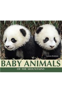 Baby Animals of the Mountains