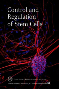 Control and Regulation of Stem Cells