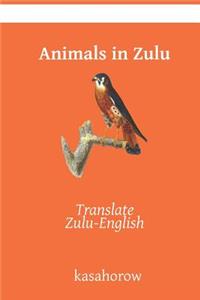 Animals in Zulu: Translate Zulu-English