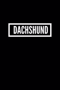 Dachshund