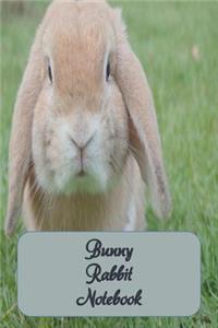 Bunny Rabbit Notebook: Cute notebook with a bunny rabbit on cover. 6 x 9 with 120 lined pages.