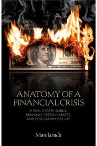 Anatomy of a Financial Crisis