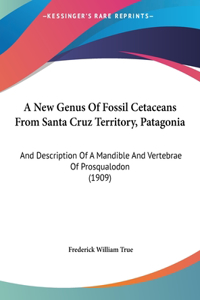 A New Genus of Fossil Cetaceans from Santa Cruz Territory, Patagonia