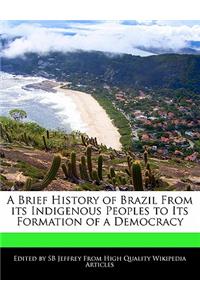A Brief History of Brazil from Its Indigenous Peoples to Its Formation of a Democracy