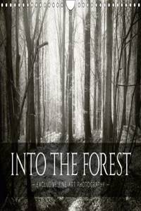 Into the Forest 2017