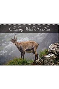 Climbing with the Ibex 2018