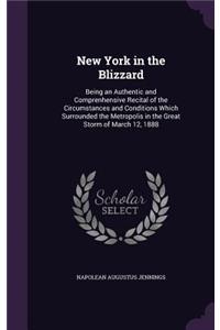 New York in the Blizzard: Being an Authentic and Comprenhensive Recital of the Circumstances and Conditions Which Surrounded the Metropolis in the Great Storm of March 12, 18