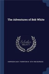 The Adventures of Bob White