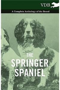 Springer Spaniel - A Complete Anthology of the Breed