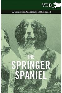 The Springer Spaniel - A Complete Anthology of the Breed