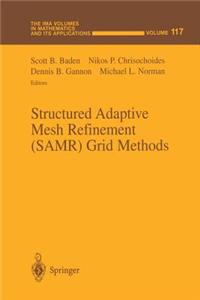 Structured Adaptive Mesh Refinement (Samr) Grid Methods