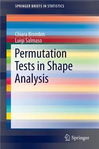 Permutation Tests in Shape Analysis