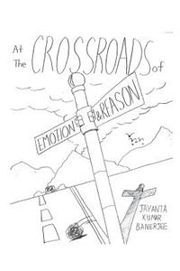 At the Crossroads of Emotion and Reason