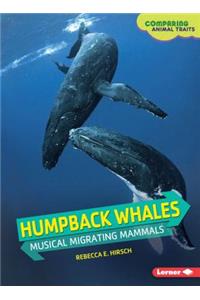 Humpback Whales