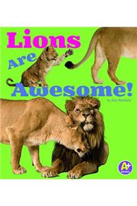 Lions Are Awesome!