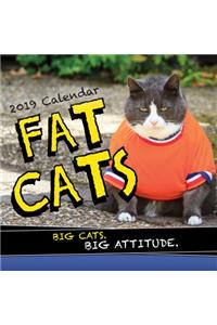 2019 Fat Cats Wall Calendar