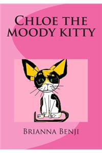 Chloe the moody kitty