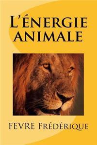 L'énergie animale