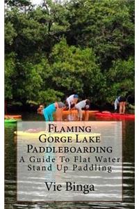 Flamin Gorge Lake Paddleboarding