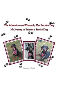 Adventures of Pharaoh, the Service Dog