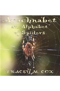 Arachnabet- An Alphabet of Spiders