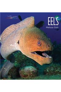 Eels