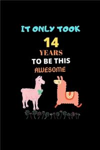 It Only Took 14 Years to be this Awesome