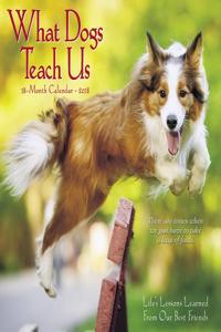 What Dogs Teach Us 2018 Mini Wall Calendar