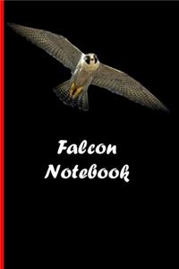 Falcon Notebook