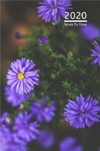 2020 A5 Diary Week To View Planner For All Occasions
