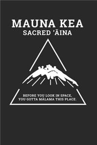 Mauna Kea Sacred 'Aina Before You Look In Space, You Gotta Malama This Place