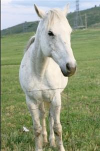 2020 Weekly Planner Horse Photo Equine Lone White Horse 134 Pages