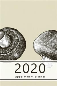 2020 Appointment Planner