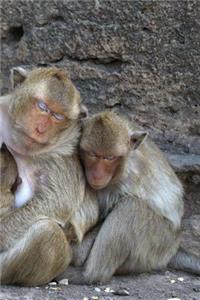 Monkey Notebook - Journal Gift for Cute Animal Lovers