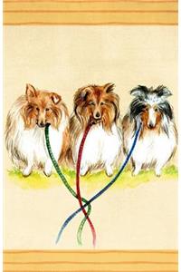 Journal Notebook For Dog Lovers Collie Dogs