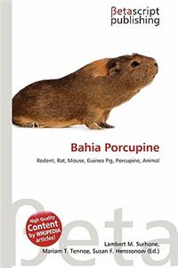 Bahia Porcupine