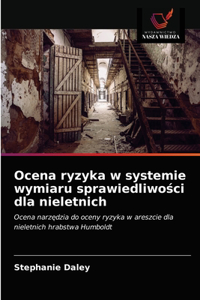 Ocena ryzyka w systemie wymiaru sprawiedliwości dla nieletnich