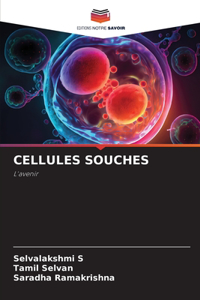 Cellules Souches