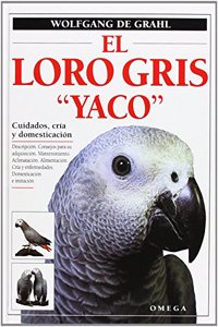 EL LORO GRIS 'YACO'