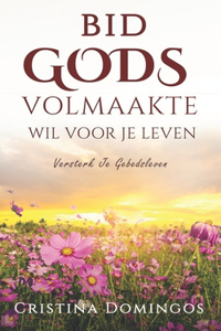 Bid Gods Volmaakte Wil Voor Je Leven