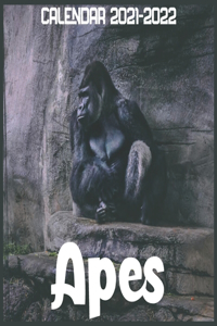 Apes Calendar 2021-2022