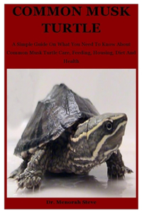 Common Musk Turtle