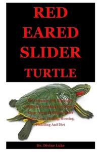 Red Eared Slider Turtle