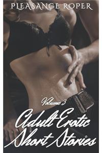 Adult Erotic Short Stories - Volume 3
