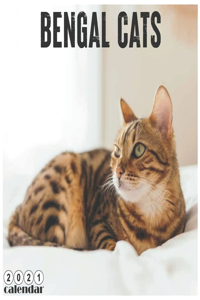 Bengal Cats 2021 Calendar