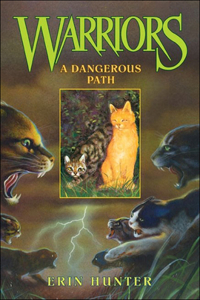 Dangerous Path