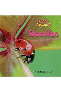 Beetles